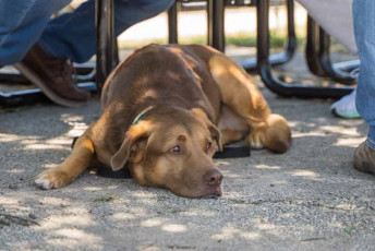 PCMA PFP 2023 Resized File 144