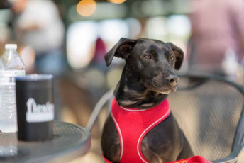 PCMA PFP 2023 Resized File 307